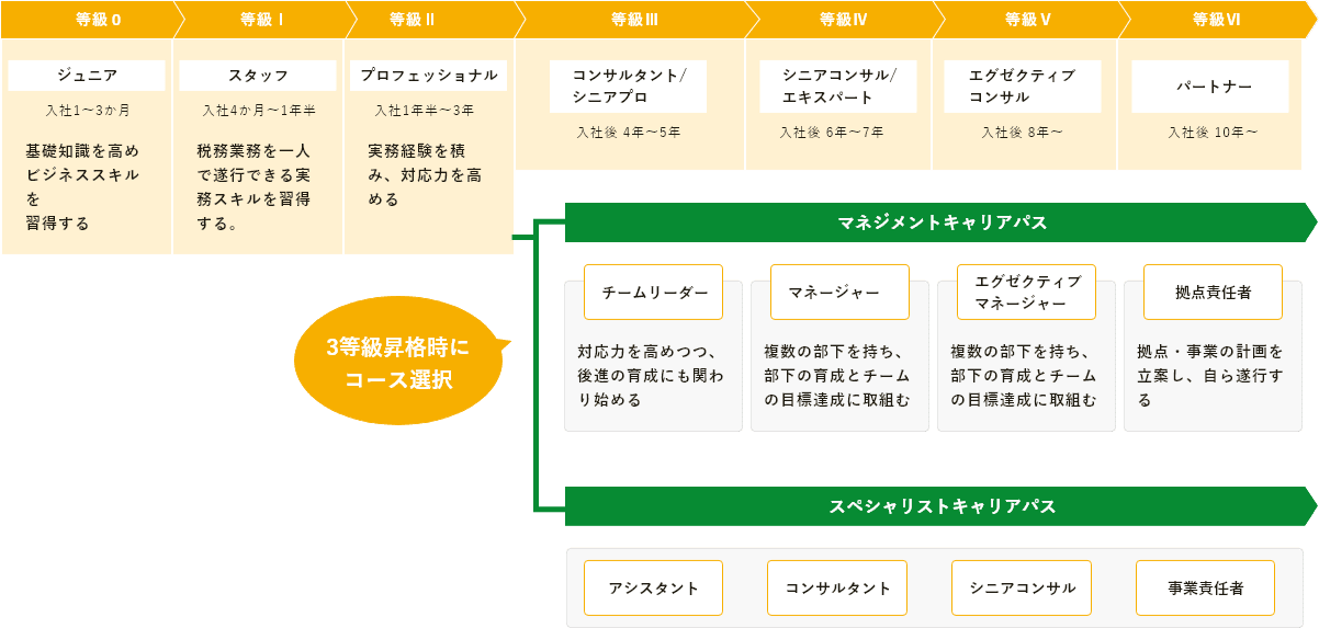 FLAGSグループ キャリアパスモデル図